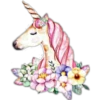 Unicornios 5