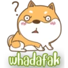 PerrunoMPQ 5