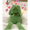 Kermit the Frog (pics) 2 12
