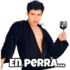 BIBI En PERRA...