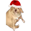 Animales Navideños 15