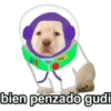 LUCHO 14