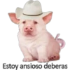 Perrito 12