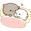 Gatos enamorados 10