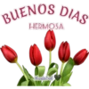 BUENOS DIAS
HERMOSA
MariaSol