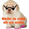 Perrito 14