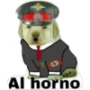 Perrito 15