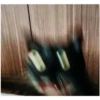 AAAAAAHHH CATS 5