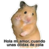 Hola mi amor, cuando
unas olidas de cola