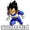 DRAGÓN BALL I 11