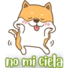 PerrunoMPQ 8
