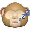 N
Z