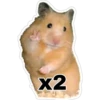 zx