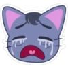 Neko Kitten 7