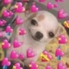 Perritos Con Corazones 15