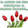 EL DESTINO NOS HIZO
ANIOAS PERO EL
CORAZÓN HERMANAS..
MariaSol