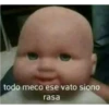 todo meco ese vato siono
rasa