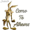 Coyote (canis latrans) 18