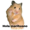 Hola marihuano