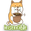 PerrunoMPQ 12