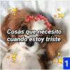 A
XX
Cosas que necesito
cuando estoy triste
1