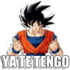 DRAGÓN BALL I 15