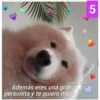 amamexfi
Además eres una gran
personita y te quiero mucho
5