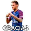 Fly irates QN GRACIAS