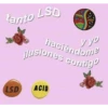 tanto LSD
L.S.D.
y yo
haciéndome
jlusiones contigº
ACID