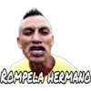 Perro rabioso 8
