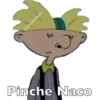 @paosantiagoo
Pinche Naco