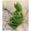Kermit the Frog (pics) 2 17