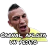 Perro rabioso 9