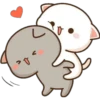 Gatos enamorados 13