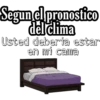 Segun el pronostico
del clima
Usted deberia estar
en mi cama