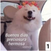 Buenos días
preciosura
hermosa
amame.xfi
1