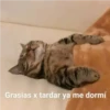 Grasias x tardar ya me dormí