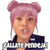 BIBI ¡CALLATE PENDEJA! 560
