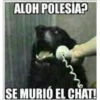 ALOH POLESIA?
SE MURIÓ EL CHAT!