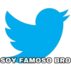 SOY FAMOSsO BRO