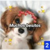 Muchos besitos
2