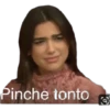 Pinche tonto