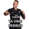 Fly Emirates YA VINE PERROS