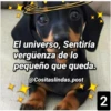 El universo, Sentiría
vergüenza de lo
pequeño que queda.
@Cositaslindas.post
2