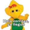 Hola zorritas,
ya llegué