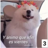 Y ánimo que xfin
es viernes
amame.xfi
3