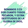 ROMANOS 3:23
POR CUANTO TODOS
PECARON, Y ESTÁN
DESTITUIDOS DE LA
GLORIA DE DIOS,