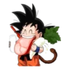 Dragon Ball 22