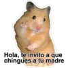 Hola, te invito a que
chingues a tu madre