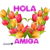 HOLA
AMIGA
MariaSol